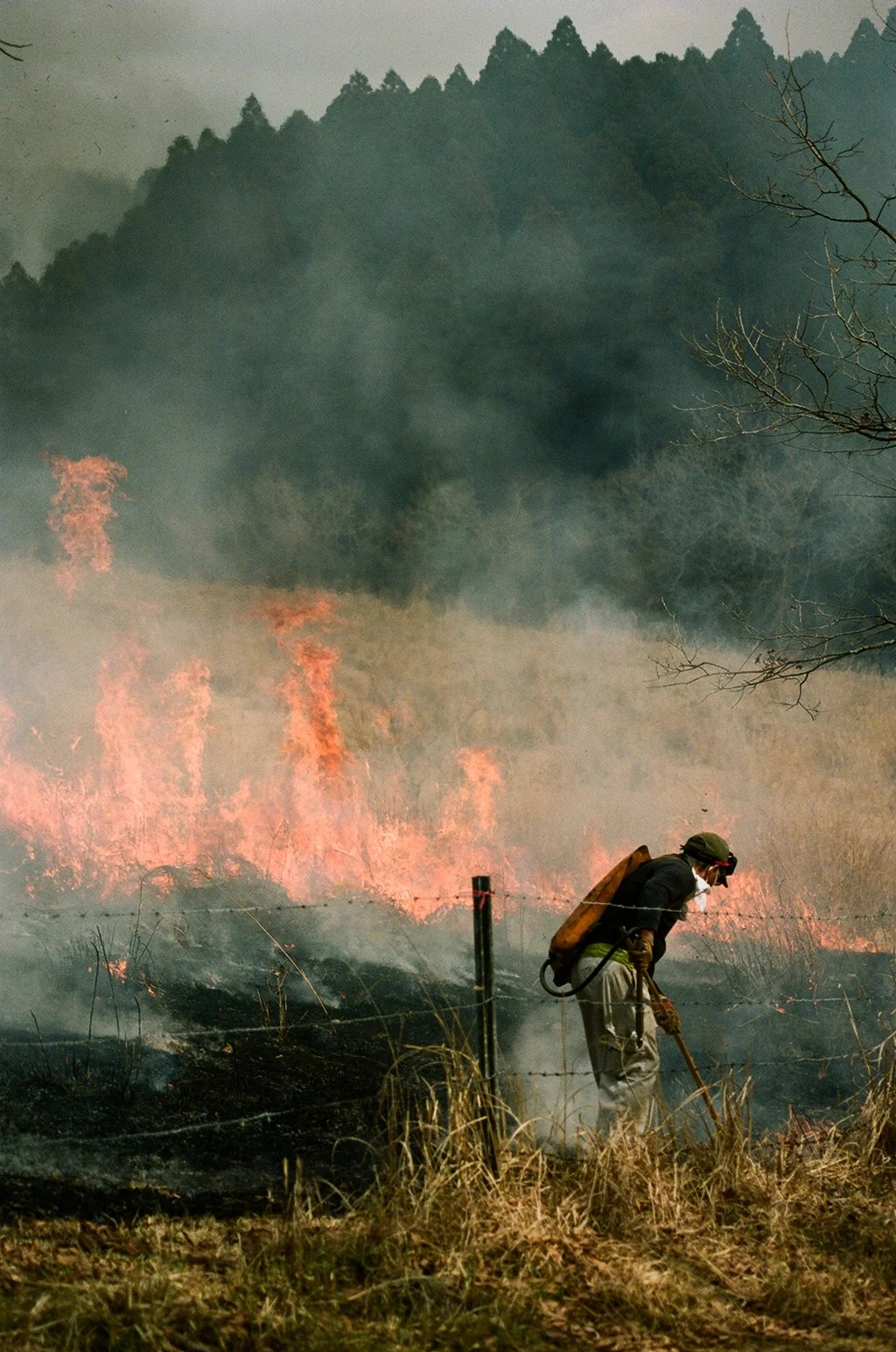 🏞️ 타와라야마 고개 전망대(다와라야마토게 덴보조) 이미지 8